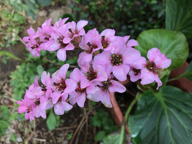 rblog-20190401164110-02.jpg