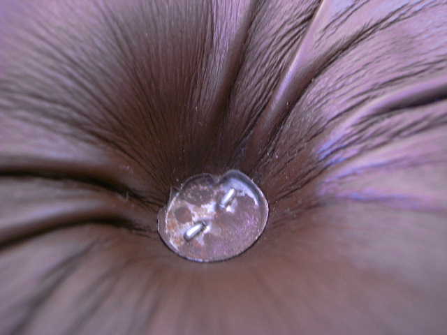RIMG20504.JPG