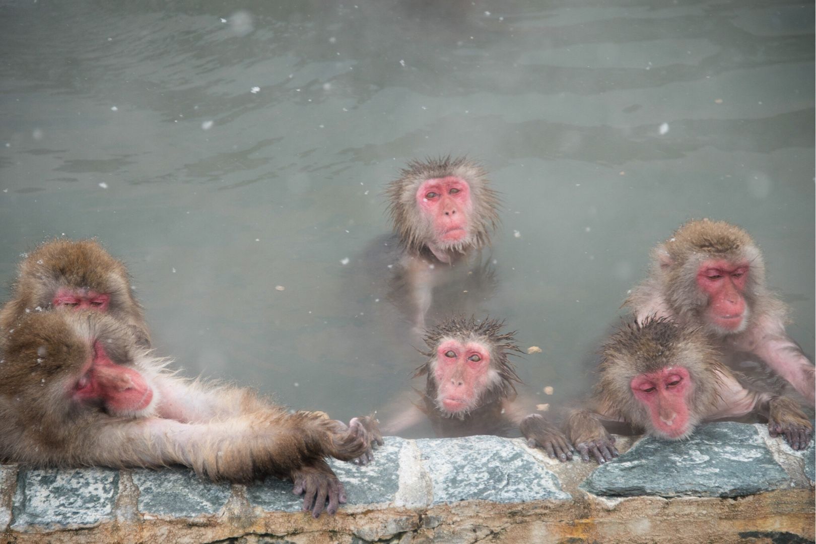 ニコンカレッジ札幌校 函館市熱帯植物園 Brightness Taking Photos Of Everyday Life By Sachiko Kubota 楽天ブログ