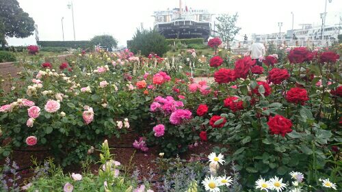 rblog-20160514195854-01.jpg