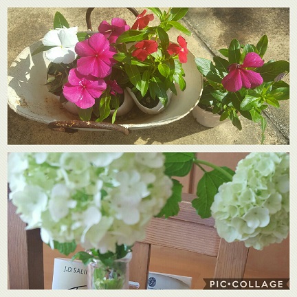 Collage 2017-04-30 08_24_32.jpg