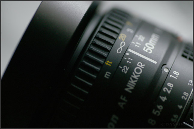  today/2　　pal