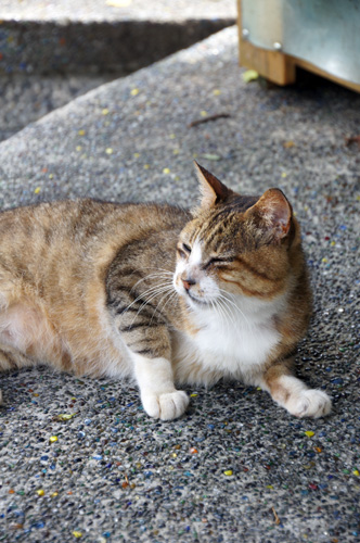 何となく哀愁がある感じｗ