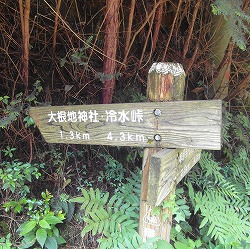DSC06220.jpg