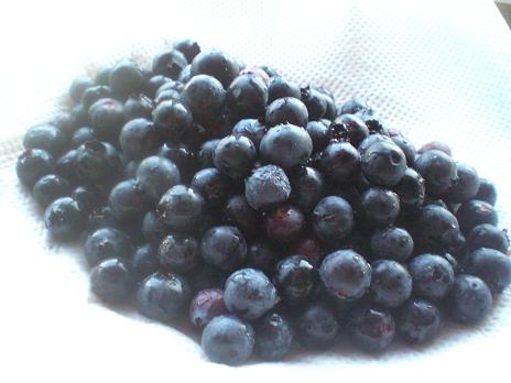 ブルーベリー