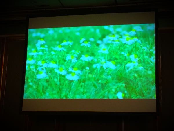 rblog-20160314005721-01.jpg