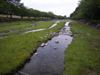 画像05.JPG