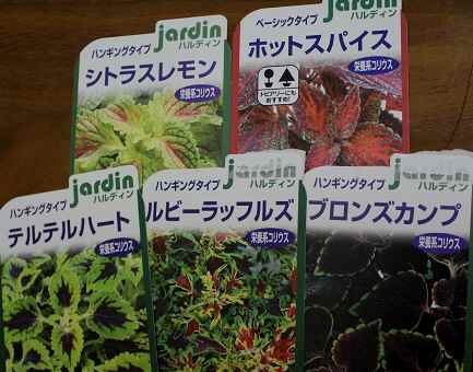 2014_0719_220545-IMG_3652.JPG