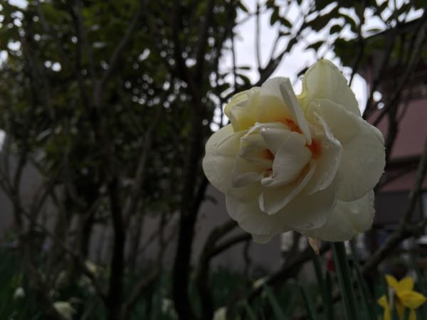 rblog-20150415151557-00.jpg