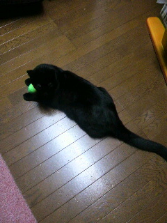 2013101118290002.jpg