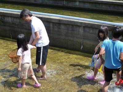 イワナつかみどり２０１２