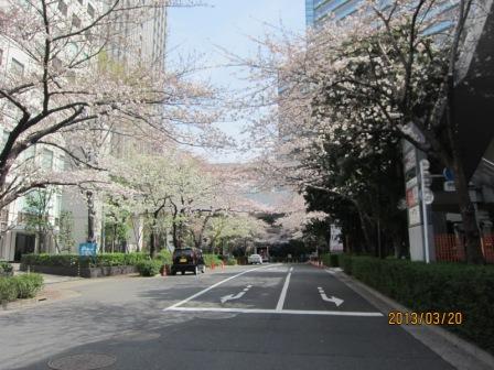 大崎駅の桜