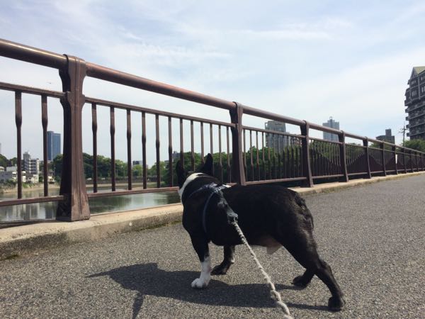 rblog-20170521180502-01.jpg