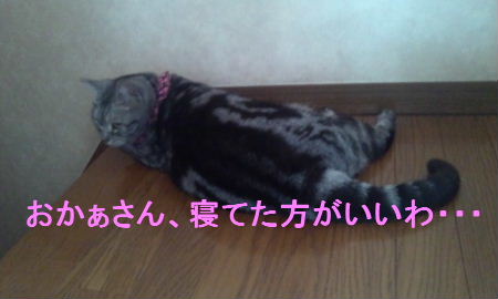 2013_0430うさちゃん0144.JPG