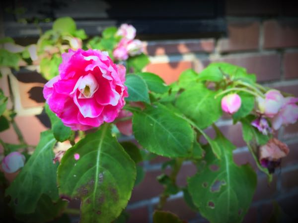 rblog-20160825165128-07.jpg
