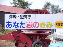 DSCN8419.jpg