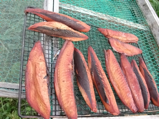katuo