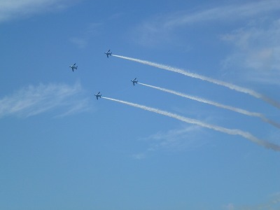 P1000578.jpg