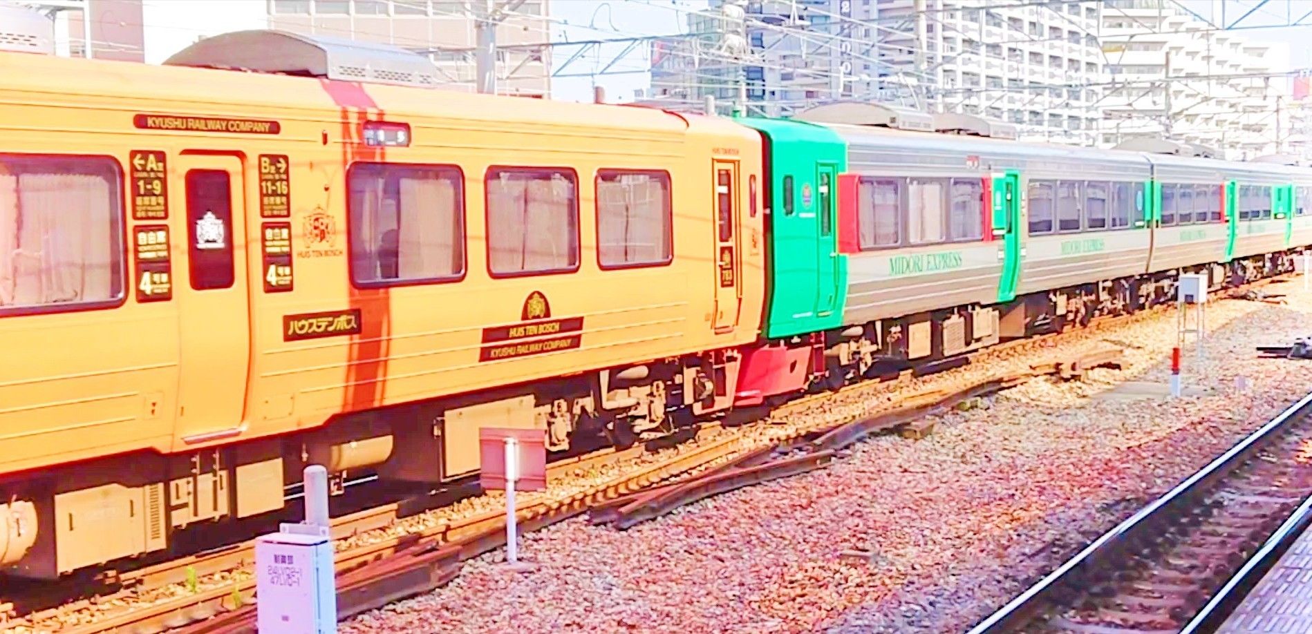 龍 龍 2019年8月5日 夏休み博多遠征 783系特急きらめき5号・