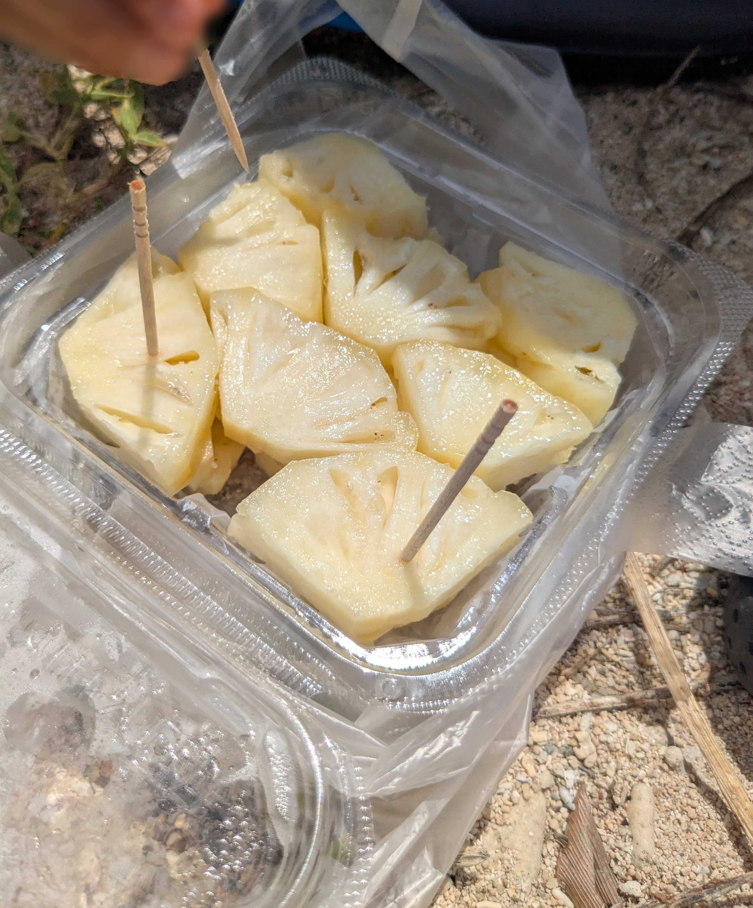 石垣島 米原ビーチ近く　スムージー屋　カットパイナップル