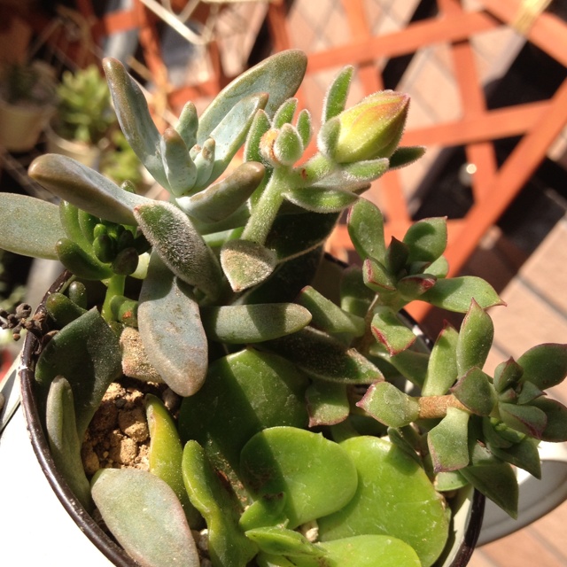 rblog-20130723200508-01.jpg