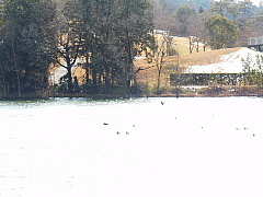 conv0302.JPG