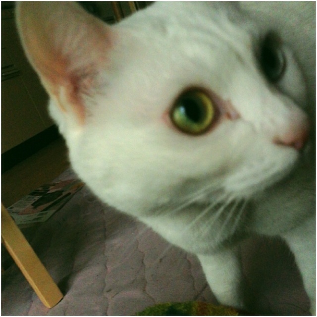 rblog-20130423163517-00.jpg