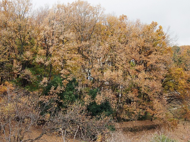 s-p2880.jpg