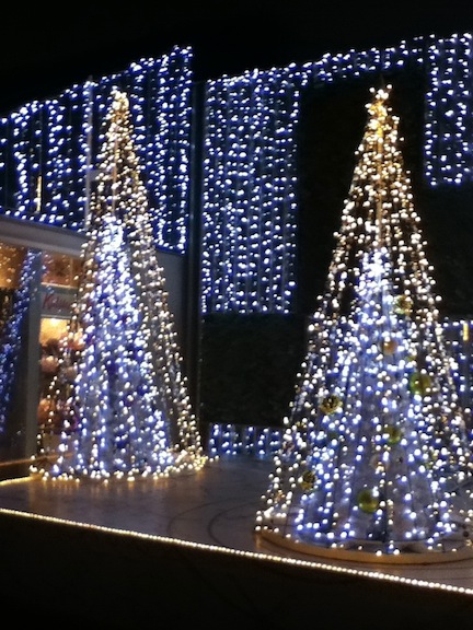 新宿イルミネーション2012年1月_3