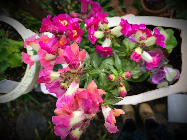 rblog-20161129162243-03.jpg