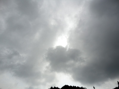 DSC01386--.jpg