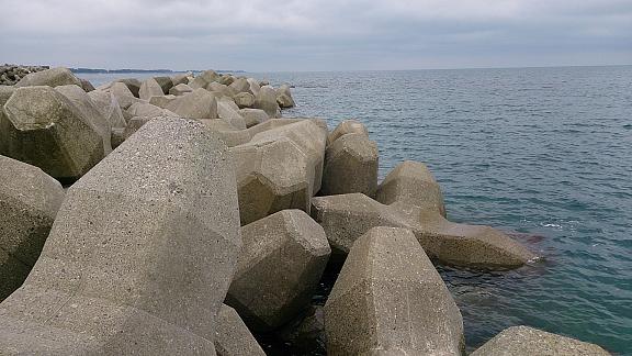 DSC_0019.jpg