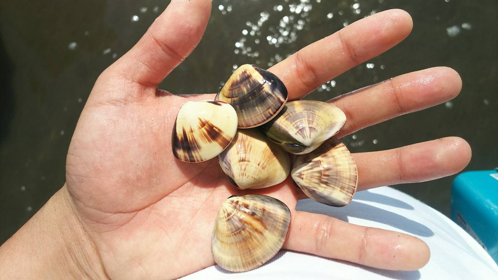 記事一覧 釣りとか旅 時々読書 楽天ブログ