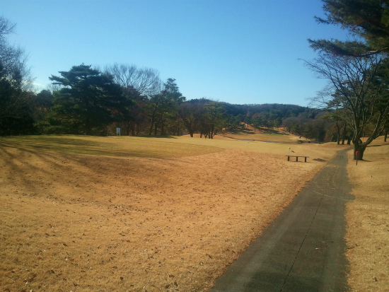 2012-12-19 11.20.12.jpg