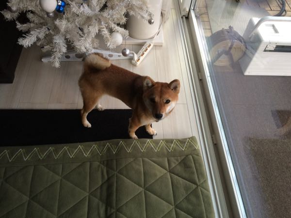 rblog-20151223115841-04.jpg