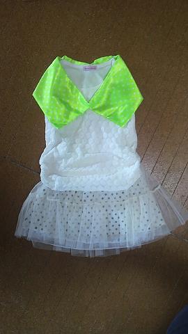 2012091207400001.JPG