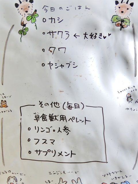 カモシカ園1