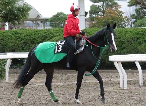 大井競馬場便り 地方競馬の楽天競馬 日替わりライターブログ 楽天ブログ