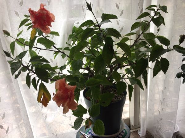rblog-20161222221300-04.jpg