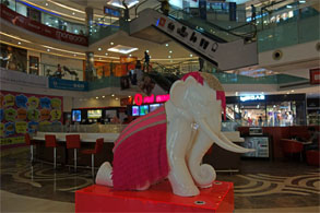 インド1120.jpg