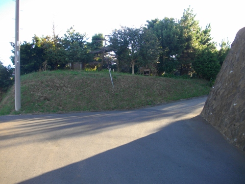 岡崎城 (4) (500x375).jpg