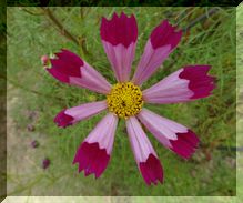DSC01328.JPG