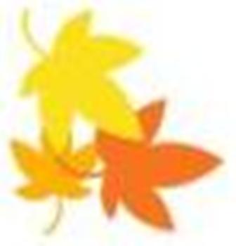 momiji.jpg