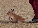 20121104132024[1].jpg