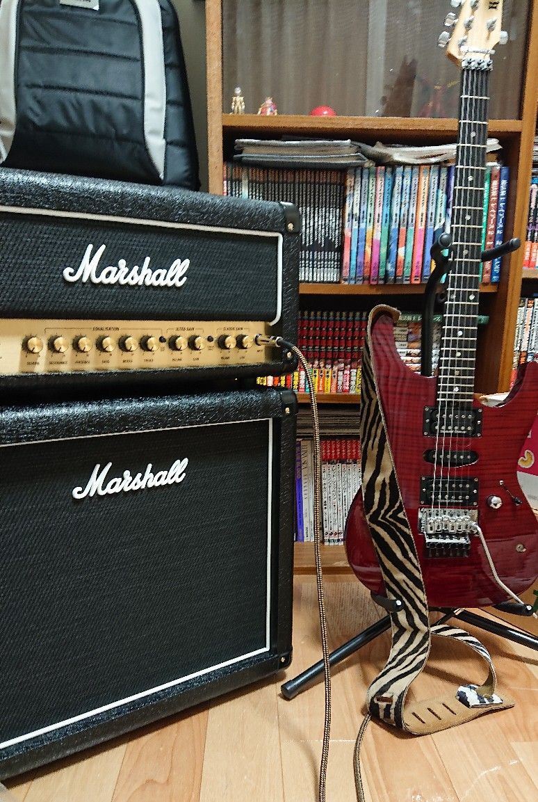 Marshall DSL-20とMX112買いました！ | しろーのエフェクター帳