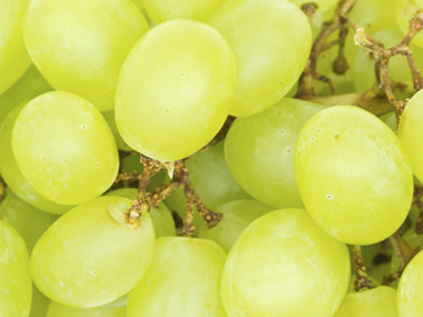 look-younger-grapes-silに.jpg