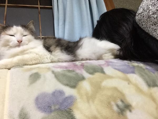 rblog-20160309122413-02.jpg