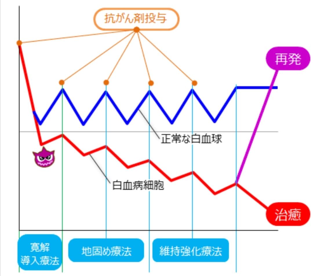 抗がん剤２日目終了 まめっち北海道のブログ 楽天ブログ
