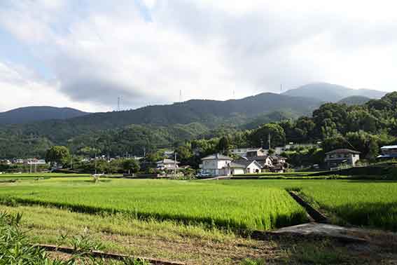 川田八幡神社から見た景色♪