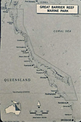 OZ391.jpg